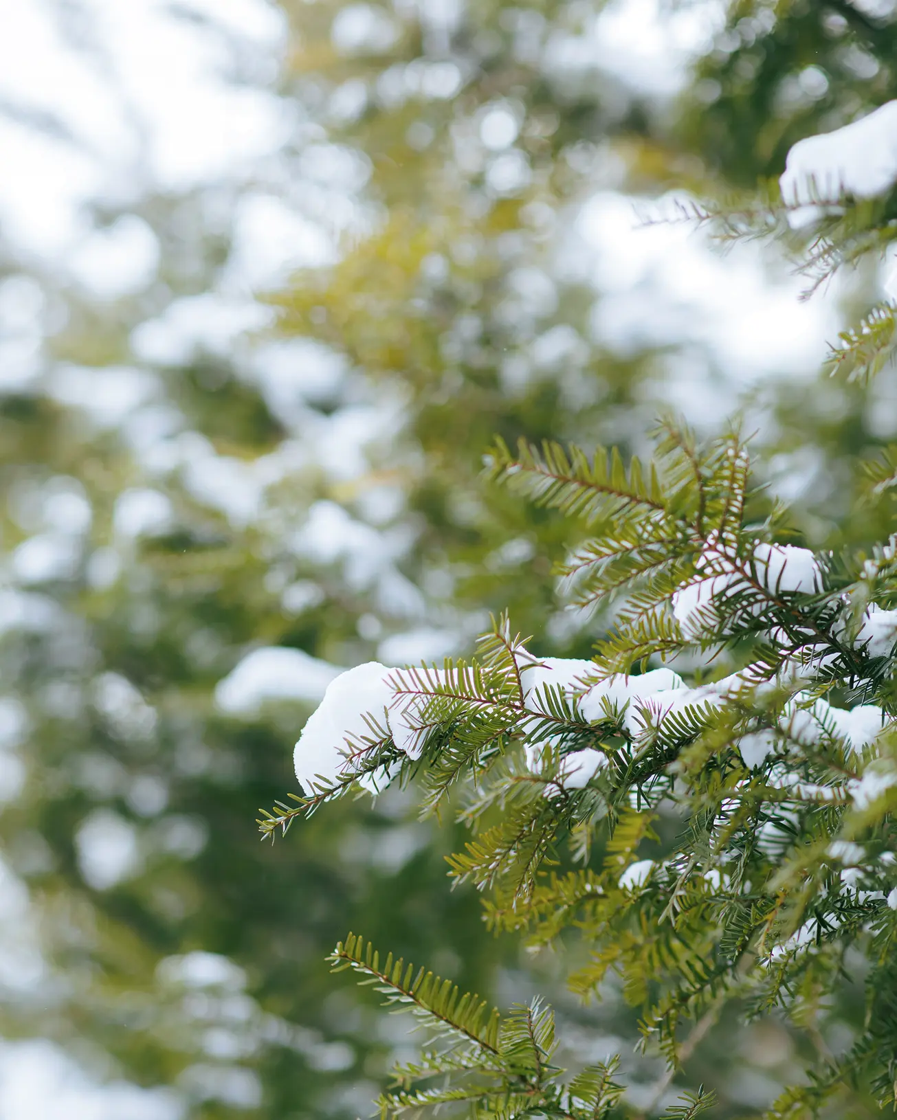 軽井沢ロケーションのイメージ