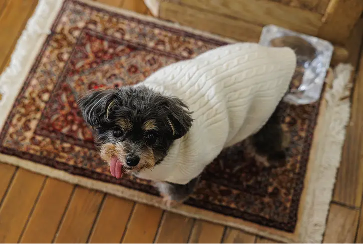 やわらかな空間のイメージ